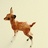 Ringdeer