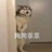 喜欢吃瓜