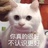 辣味可丽饼