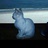 大停電の夜に