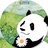 素光