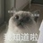 对影成三人