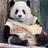 小九