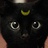 PS的猫