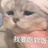 从此山水不相逢