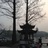 龙井love茶