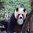 就来啦