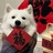 山河至此_