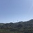 默