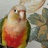 https://img1.doubanio.com/icon/u146106190-28.jpg