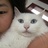 我养了猫