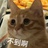 念念
