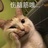 小桔猫一郎