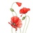 Iris_Z