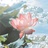 荒野之息