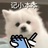 不要回答