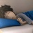 特困生