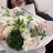 西曳解🥕