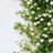 Aria-