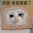 ฅ🐱ฅ