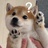 光光