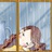 梦里花落