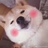 一朵棉花云