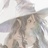 小鸮