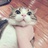 leo爱吃鱼