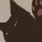 猫桑