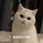 茶青Cesare