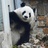 么么儿（禁欲版