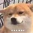 森柴