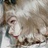 F☆am Illusi☆n