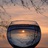 夕颜