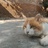 我们走向原野