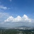 醉