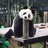 不要熬夜