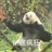 陈泊桥唯爱章决