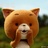 田赋妮