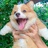 준아
