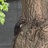 释无常