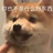 佛佛耶尼撒得雷
