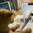 不会解数学题