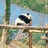 小伙伴