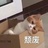 喵嗷