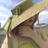 Q_Argenta