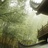 燕泠