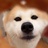 东三环石原里美