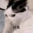 momo（劁猪中